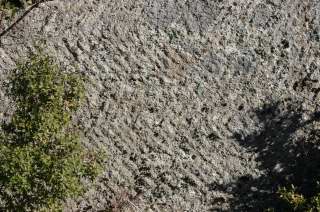 Traces d'escoudes